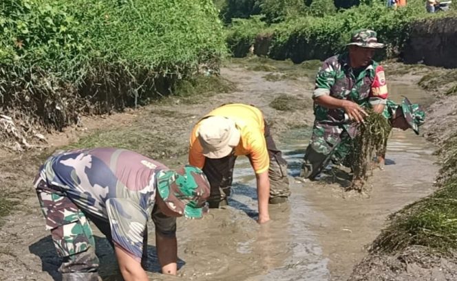 
					Pemkab Madina dan Personel Koramil 13 Panyabungan Bersihkan Saluran Irigasi Persawahan