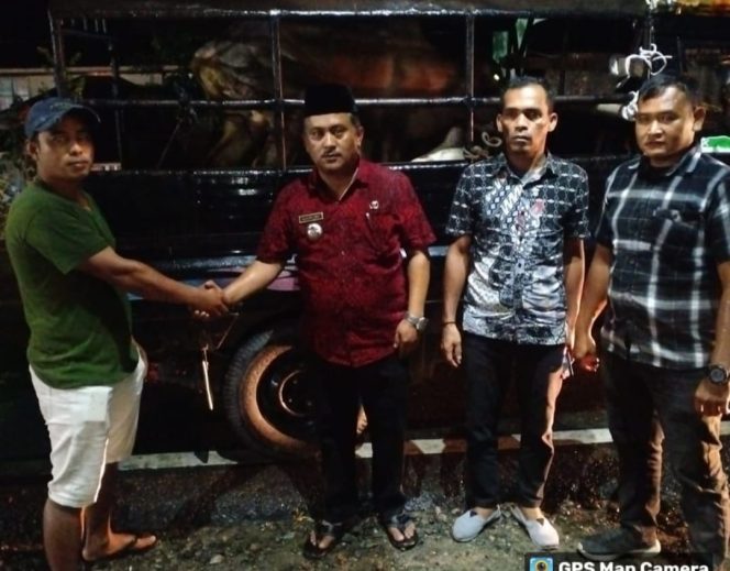 
					5 Ekor Hewan Qurban Pemkab Madina Telah Disalurkan ke Kotanopan