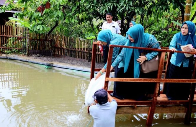 
					Ketua TP PKK Madina Monitoring Desa Binaan dan Tabur 5 Ribu Ekor Bibit Ikan