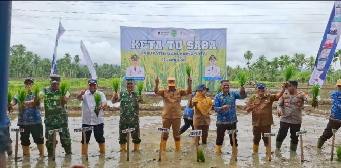 
					Pemkab Madina dan PT Pupuk Indonesia Siap Mensukseskan Program Ketahanan Pangan Nasional