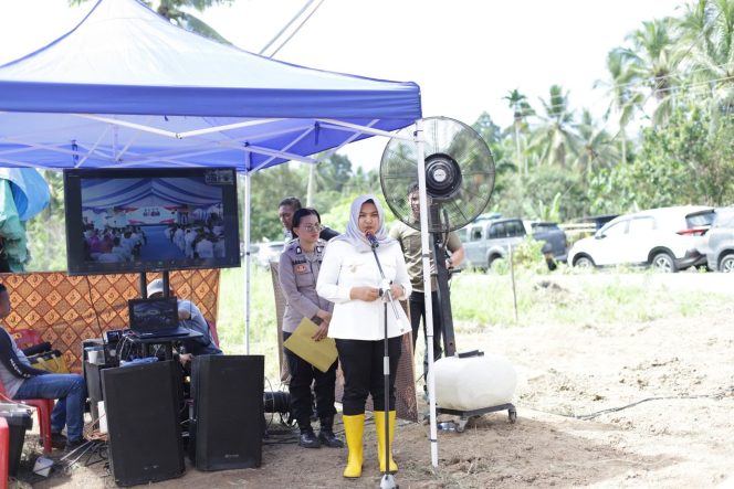 
					Wabup Madina Sebut Jagung Komoditas Penting dalam Penguatan Ketapang dan Kesejahteraan