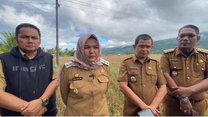 
					Pemkab Madina Segara Selesaikan Masalah Peyebab Ribuan Sawah Petani Gagal Tanam