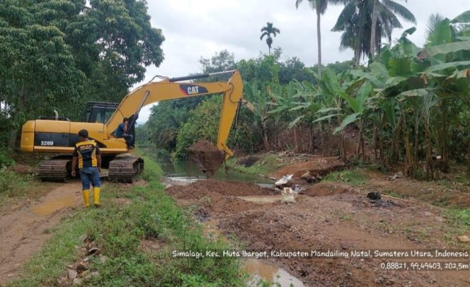 
					Penyebab Ribuan Hektar Sawah Terancam Gagal Tanam di Madina Mulai Dibersihkan