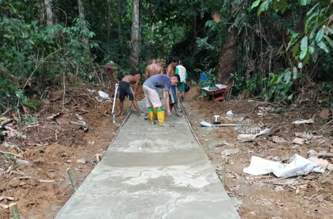 
					Pemdes Tagilang Julu Melalui TPK nya Bangun Jalan Rabat Beton Sepanjang 341 Meter