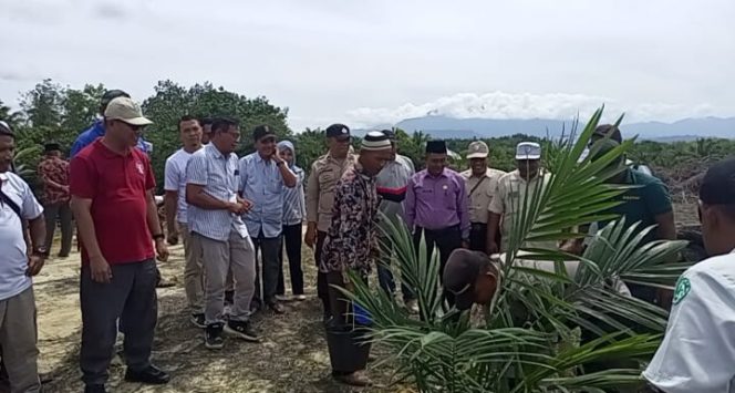 
					PT.GLP Mitra Koperasi Produsen Karya Sejati Bersama Gelar Penanaman Perdana Kebun Kemitraan Sikara-kara I