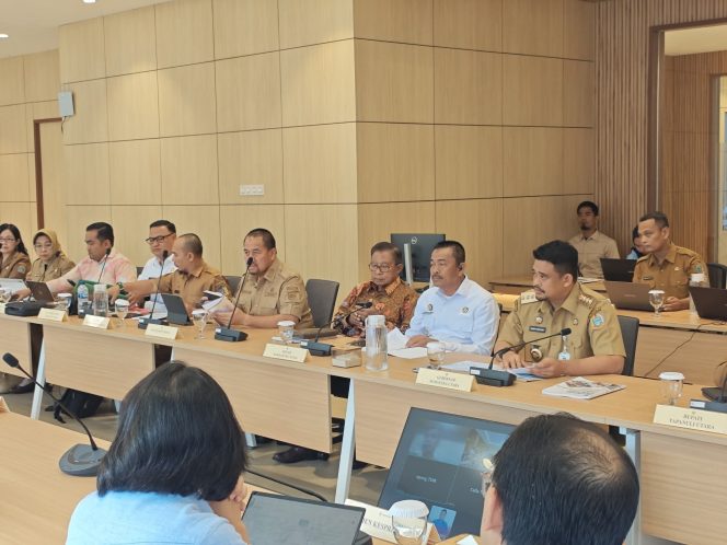 
					Bupati Saipullah Audiensi dengan Menteri Kesehatan, Ini Prioritas untuk Madina