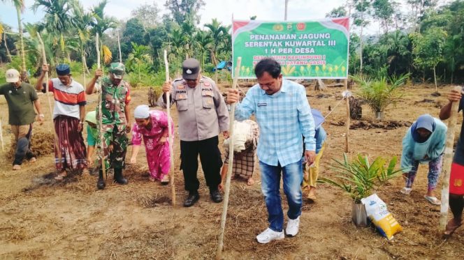 
					Kanit Samapta MBG Pimpin Penanaman Jagung Serentak di Desa Lubuk Kapundung l