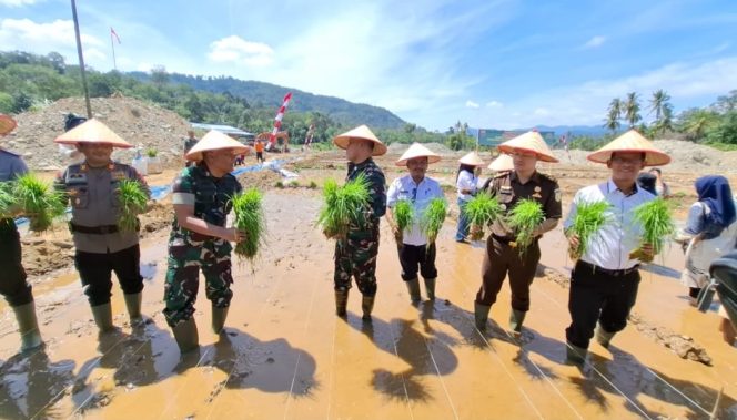 
					Kelompok Tani Saroha Gandeng TNI Cetak Sawah Baru di Lahan Reklamasi Kotanopan