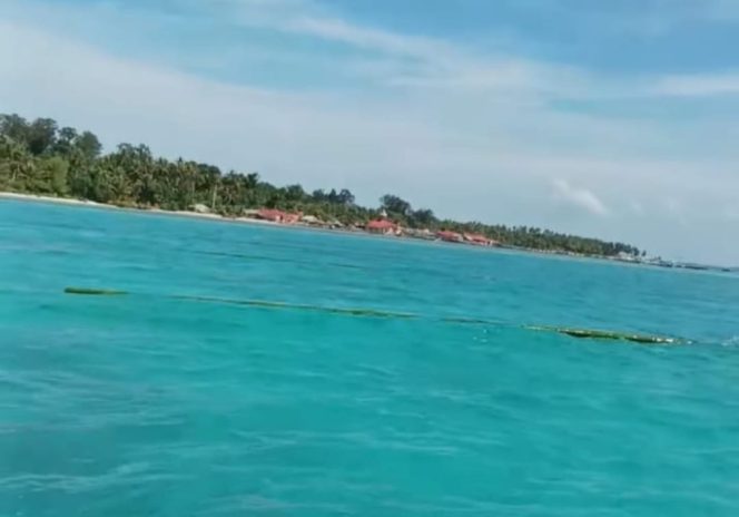 
					BUMDes Pulau Bais Dukung Program Ketapang Dengan Budidaya Rumput Laut