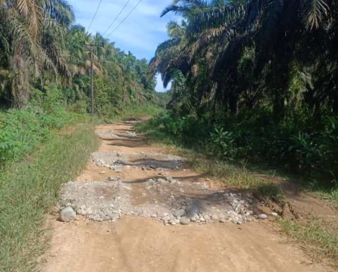 
					Masyarakat Pasir Putih Sinunukan Berharap Jalan Provinsi Penghubung Ke Kecamatan di Bangun