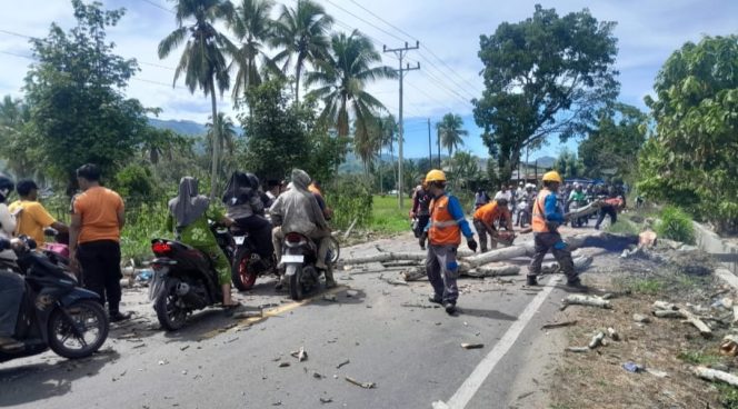 
					BPBD Madina, PLN dan Perhubungan Tertibkan Pohon Rawan Tumbang di Pinggir  Jalinsum Siabu