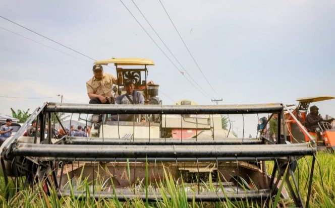
					Panen Raya 318 Hektare Bupati: Pastikan Pasokan Beras Cukupi Kebutuhan Masyarakat