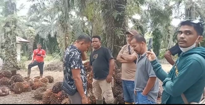 
					Warga Desa Simpang Koje Mempertanyakan Legalitas pengelolaan Lahan HPT eks PT. PSU seluas 816 H
