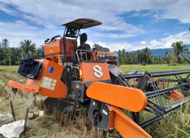 
					Harga Gabah Petani di Desa Tangga Bosi Jauh Bawah HET