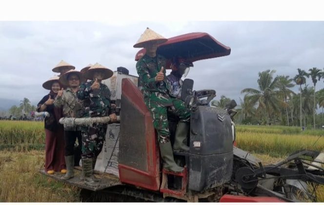 
					Korem 023 KS Bersama Dandim 0212 TS Panen Raya Di Saba Rampa Tanggabosi Siabu