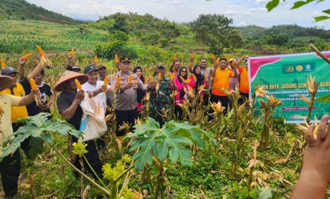 
					Camat Bersama Jajaran Forkopimcam Lingga Bayu Panen Raya Jagung di Desa Bonca Bayuon