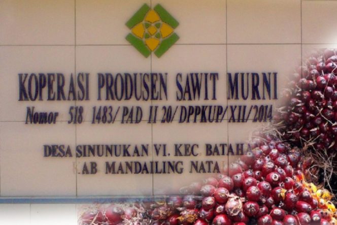 
					Pengurus Kopbun Sawit Murni Bagikan SHP dan SHU Bulan September 2025 Rp5.220.000/Kapling