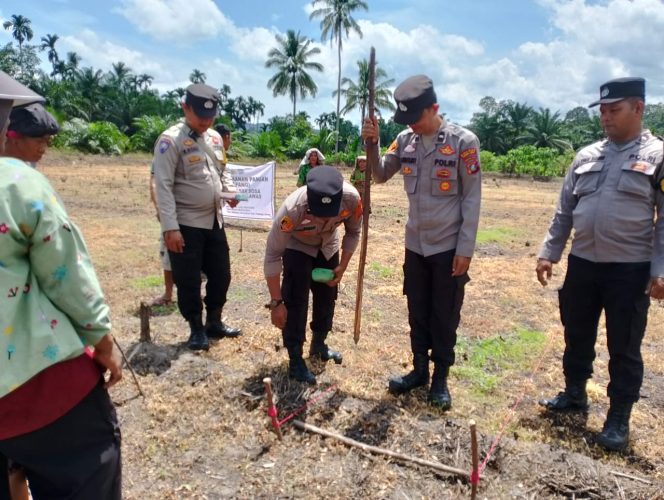
					Personil Polsek Sosa Tanam Jagung di Lahan Warga Desa Binaan Binaannya