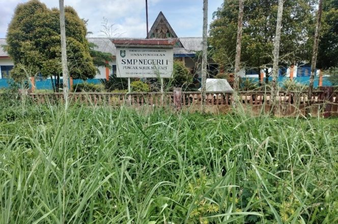 
					Tidak Terawat Dipenuhi Semak Belukar, Potret SMPN 1 Puncak Sorik Merapi
