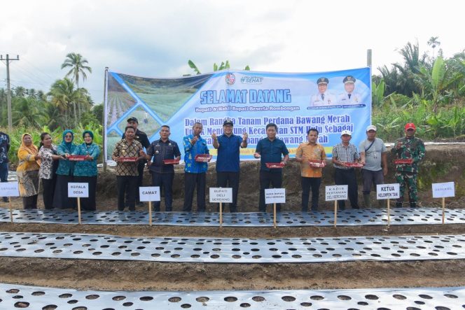 
					Kedaulatan Pangan dan Tekan Inflasi, Pemkab Deli Serdang proyeksikan STM Hulu Sebagai Sentra Bawang Merah