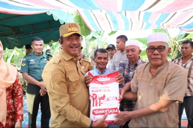 
					Pemkab Madina Salurkan Bantuan Bibit Jagung dari Kementan Sebanyak 24,75 Ton