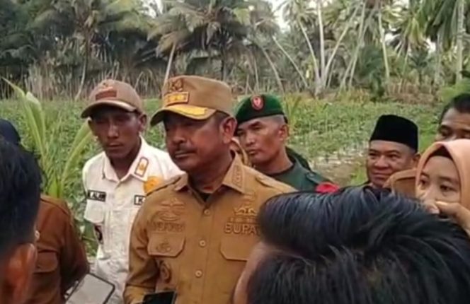 Bupati Madina Sambut Baik Turunnya HET Pupuk Bersubsidi Oleh Pemerintah RI