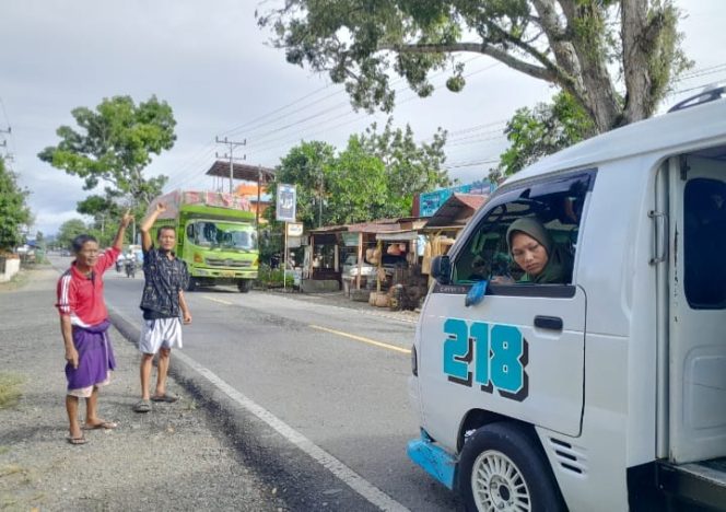 
					Resahkan Warga,Mahoni  Pinggir  Jalinsum  Aek Mual  Miring Ancam  Tumbang Ke Pemukiman