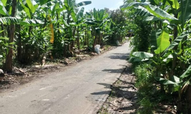 
					Deli Serdang Bertransformasi Jadi Daerah Bersih dari Sampah