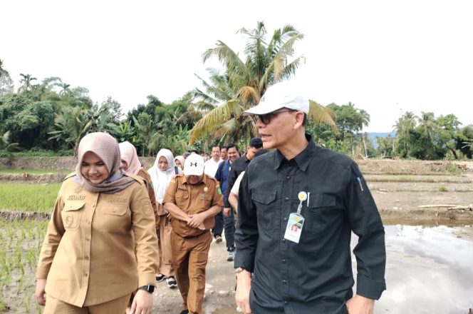 
					Dirjen Kementan RI dan Wabup Madina Tinjau Sejumlah Lahan Pertanian Rusak Pasca Banjir