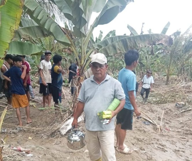 
Puluhan Hektare  Lahan Kebun  Warga  Desa  Tanjung  Sialang  Gagal  Panen