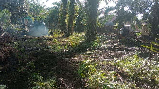 
					Ribuan Hektar Kebun Kelapa Sawit  Tumbuh Bersama Ribuan KK Miskin di sekitarnya