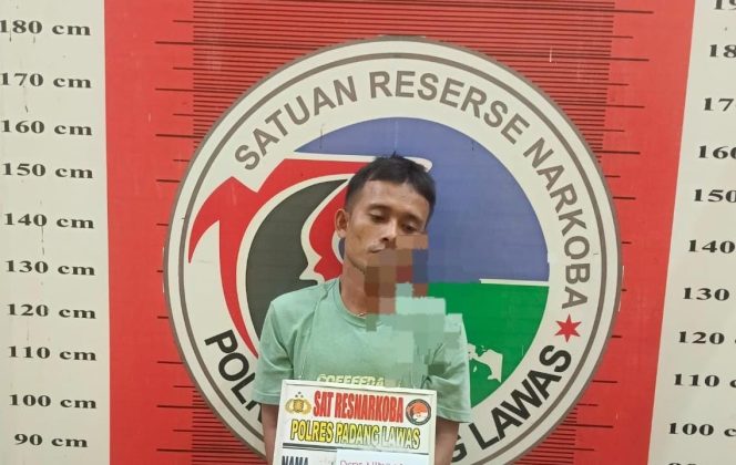
					Satu Orang Pengedar Narkoba Di Amankan Satres Narkoba Polres Palas