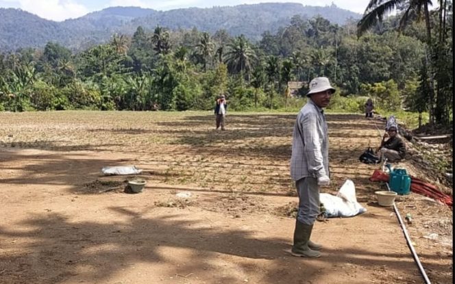 
					Lapangan Mini Soccer di Kotanopan Dikebut, CV Sumber Batu Targetkan Rampung Sebelum Lebaran 2026
