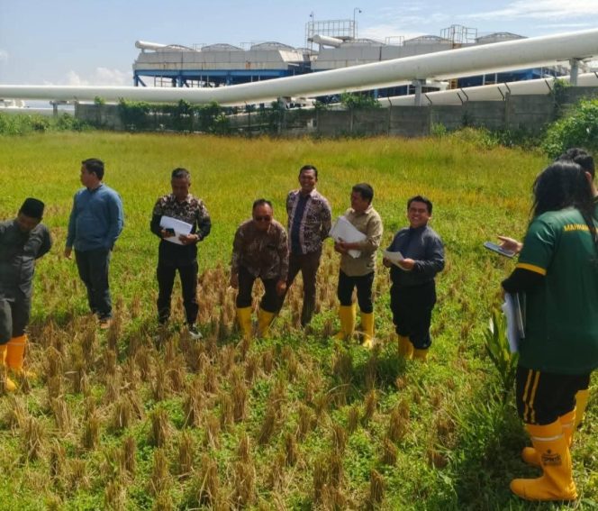 
					PT SMGP Bantah Klaim Penurunan Hasil Panen dalam Sidang Lapangan di PN Mandailing Natal