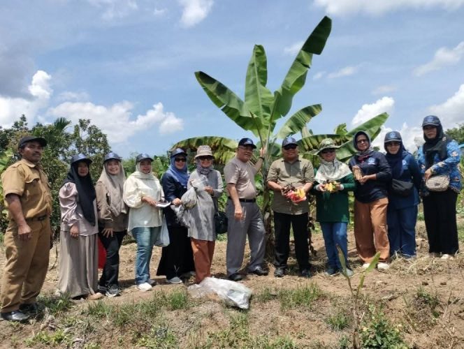
					Gandeng 5 Profesor UMA, Pemkab Madina Siapkan Sipalangka Jadi Pusat Agro-Eco-Eduwisata Pisang Kepok