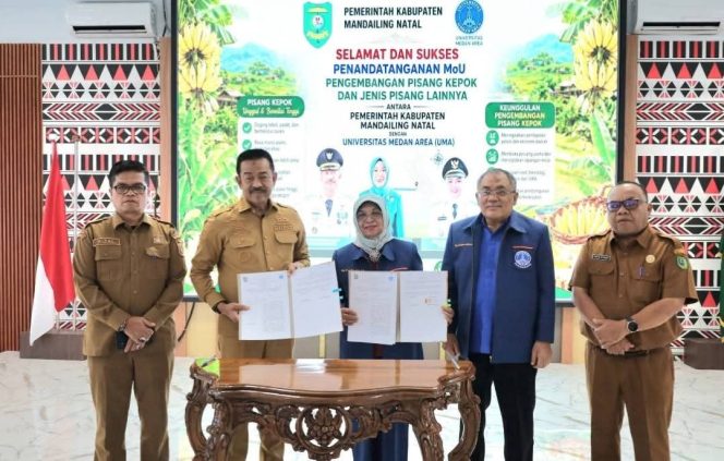 
					Pemkab Madina Bersama UMA Teken MoU dan MoA Budidaya Pisang Kepok