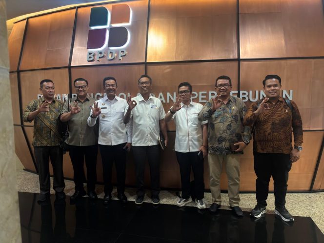 
					Pemkab Mandailing Natal Perkuat Koordinasi dengan BPDP untuk Optimalkan DBH Sawit dan Peningkatan SDM