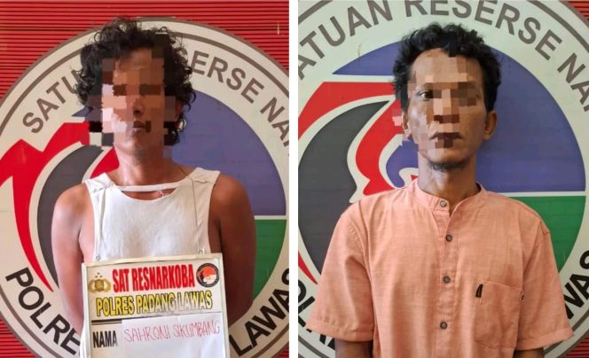 
					SS Dan SH Miliki Sabu Diamankan Satres Narkoba Polres Palas Di Desa Bulu Sonik, Kec. Barumun