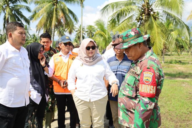 
Tinjau Dampak Banjir Wabub Madina Serap  Langsung  Keluhan Petani