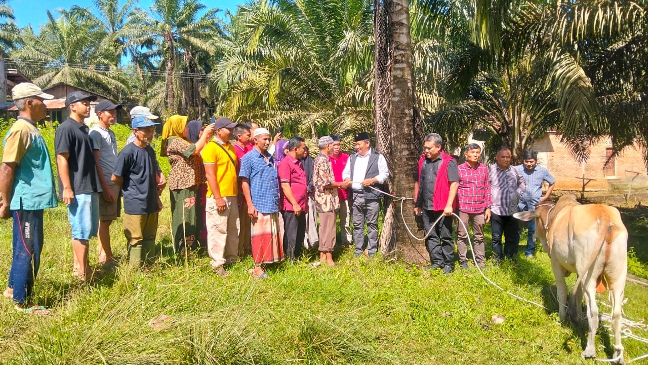 Bantuk Kepedulian, Rapidin Simbolon Anggota DPR-RI Serahkan Satu Ekor Hewan Qurban Kepada Masyarakat Desa Ujung Batu IV