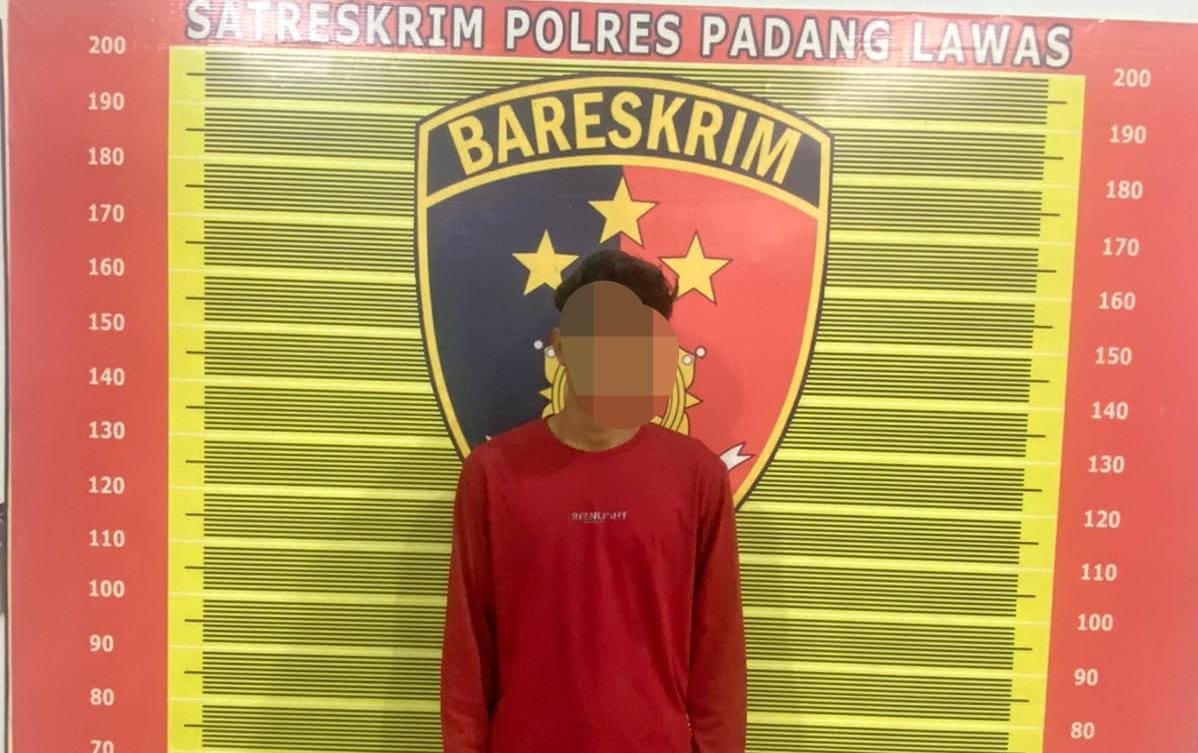 KETAHUAN CURI BUAH SAWIT MILIK PT BARAPALA, SEORANG PEMUDA DIAMANKAN SATRESKRIM POLRES PALAS